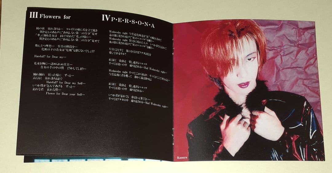 FANATIC◇CRISIS,太陽の虜,CDアルバム　※初回盤、オマケ写真付き