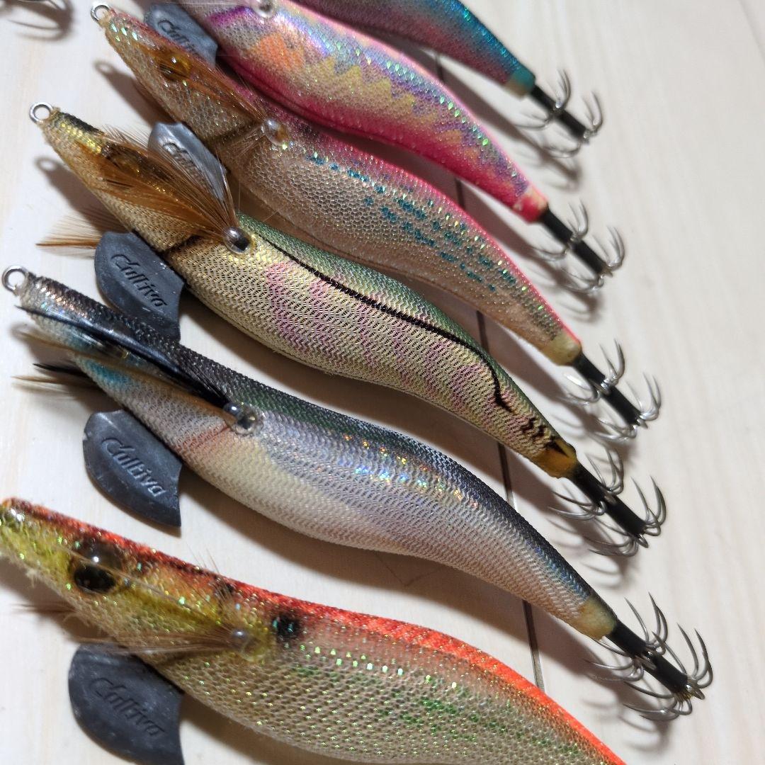 エギセットクリックス　エバーグリーンカルティバ　釣研　ガンクラフト墨族3.5号