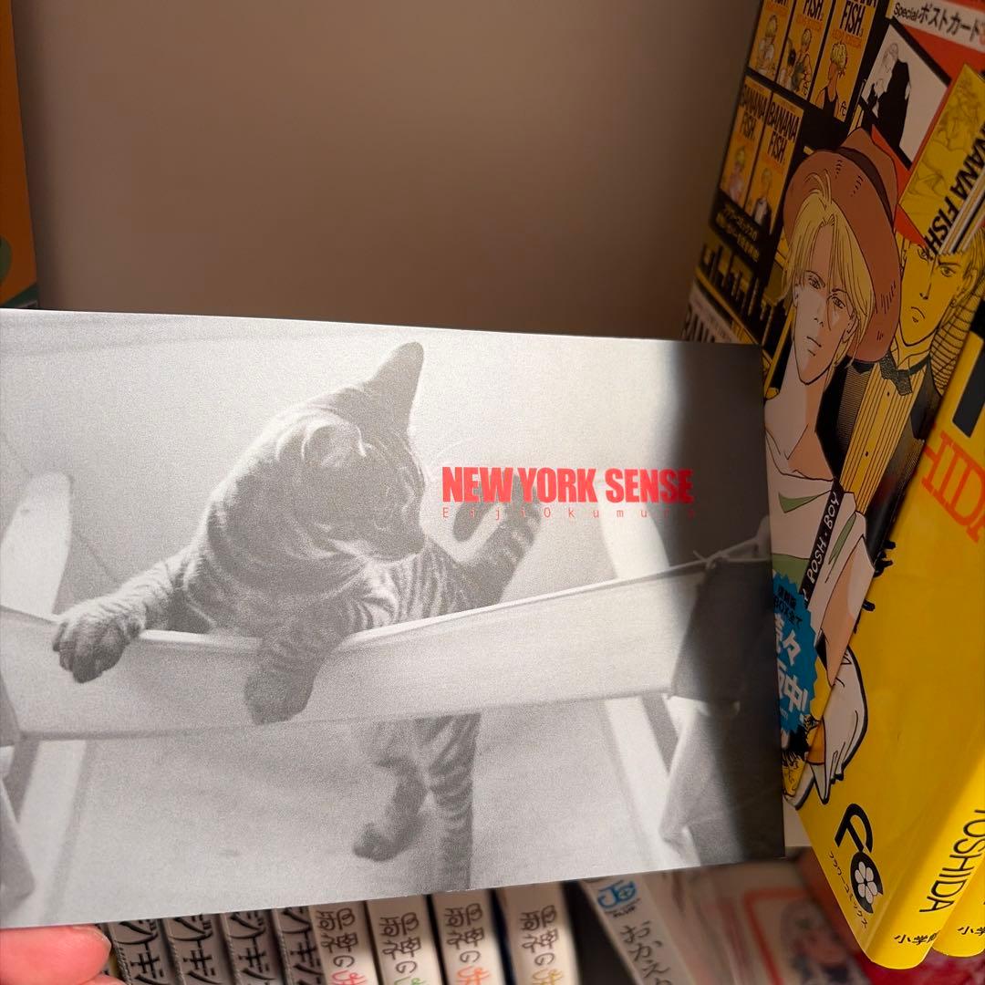 BANANA FISH バナナフィッシュ 1-20巻　復刻版BOX 全巻セット