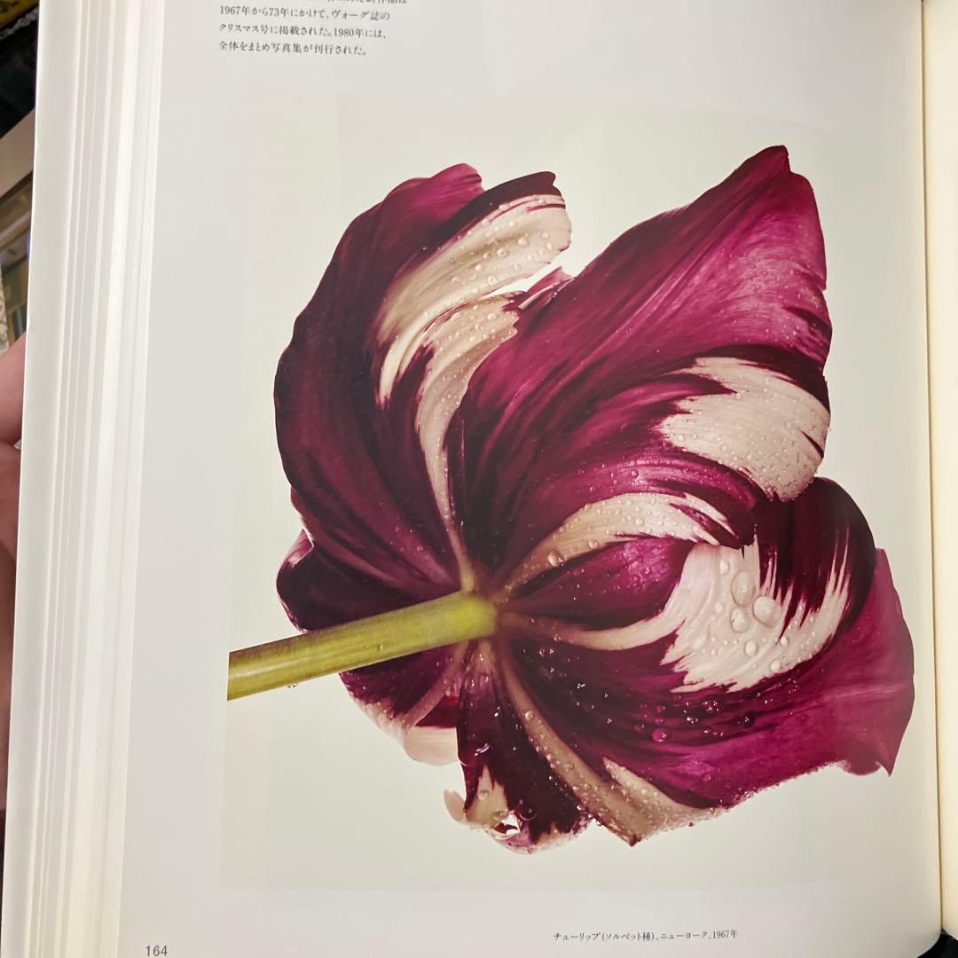 PASSAGE アーヴィング・ペン　アーヴィンペン　パッセージ