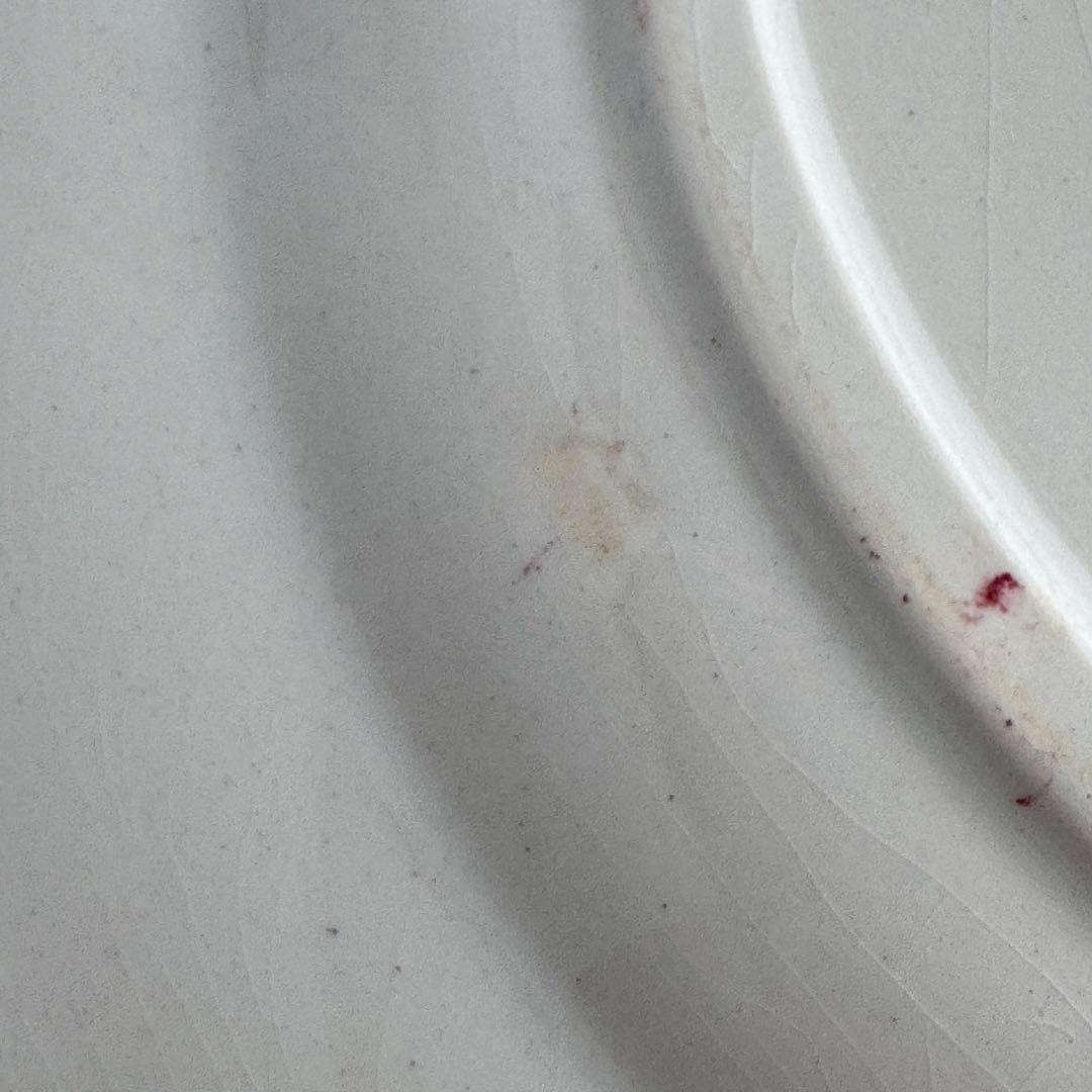 ③美品　フランスアンティーク　サルグミンヌ　Fontanges ディナープレート