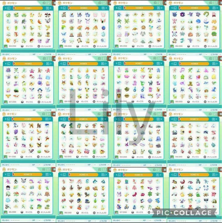 【ポケモン】ウルトラムーン 各種配信 メタモン 道具完備