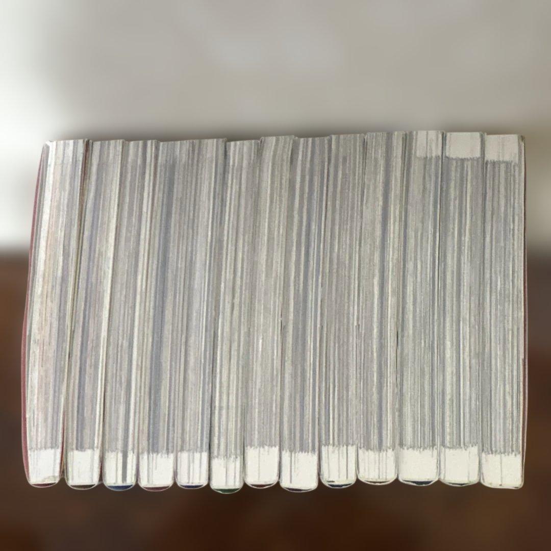 ある日、お姫様になってしまった件について1〜13巻　全巻