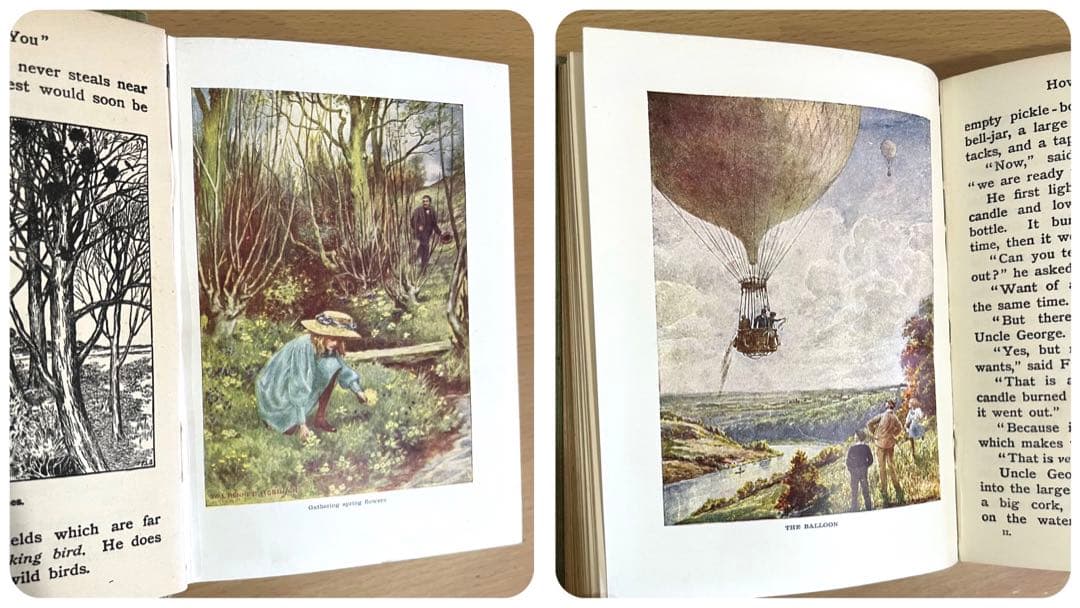 No.241 古書 洋書 児童書 植物·昆虫·動物·樹木·鳥·蝶·魚 図鑑 自然