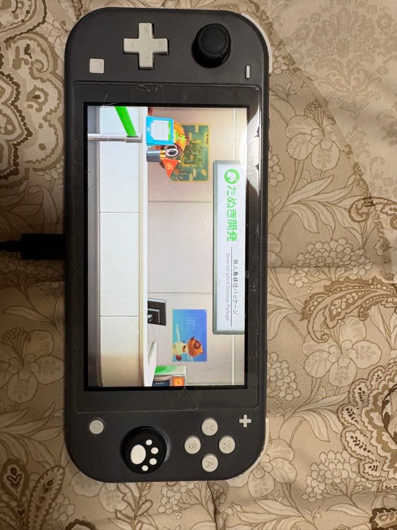 ジャンクNintendo Switch Lite グレー 画面傷あり