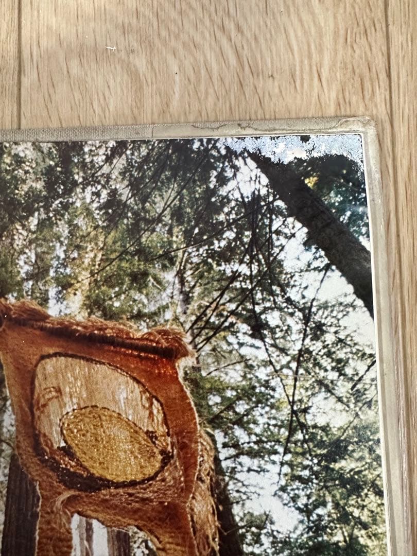 California Design Ten カリフォルニア　図録