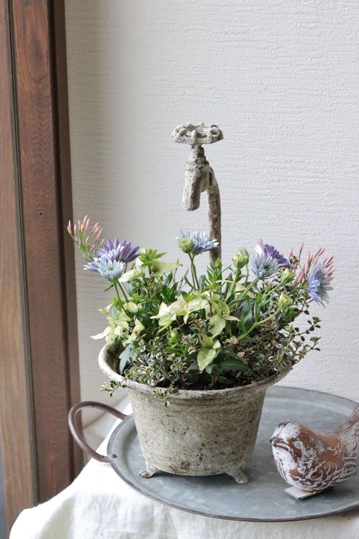 オステオ3Dブルーのシャビーな寄せ植え