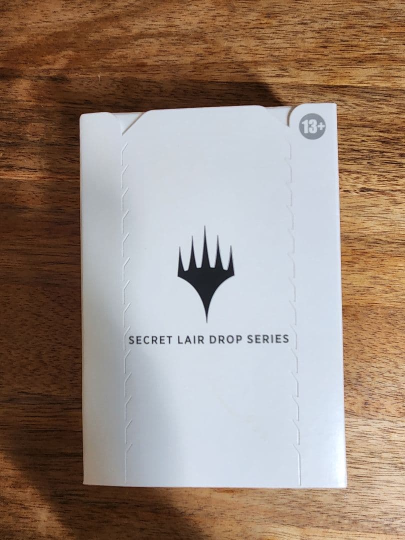 マジック：ザ・ギャザリング MTG Secret Lair x Stranger Things FOIL