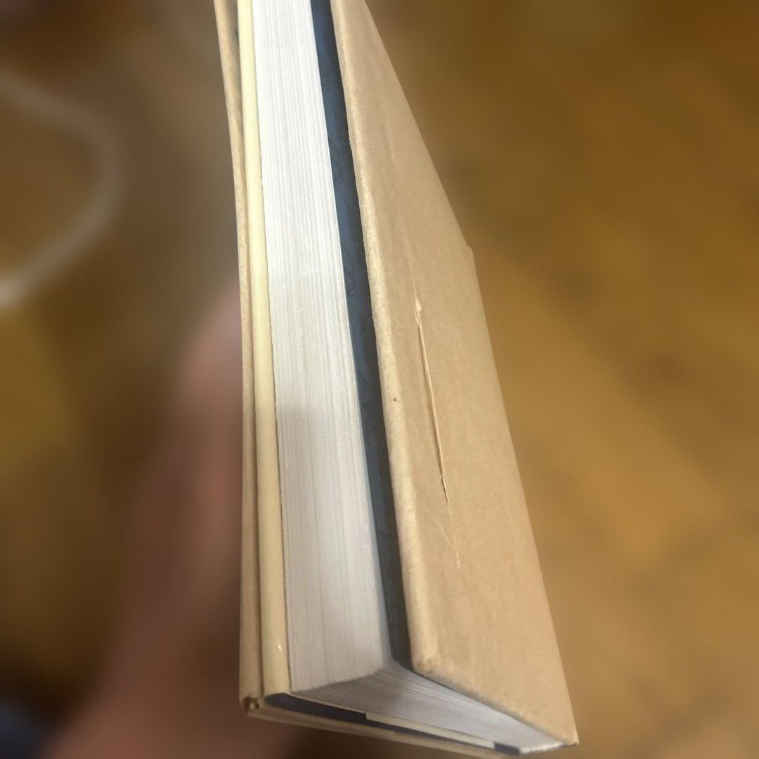 Wiener Werkstätte Design in Vienna洋書