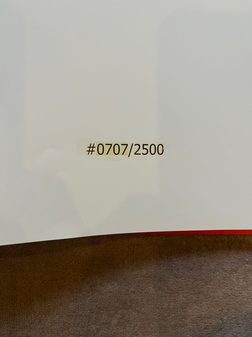 実物大　伝説のギター写真集 \"FOXY LADY PROJECT\" (仏)