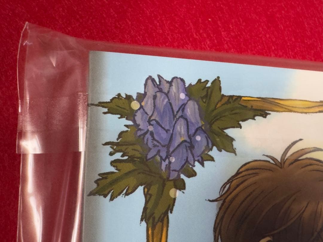 【新品】コードギアス 反逆のルルーシュ 木村貴宏 イラスト集 ポストカード 特典