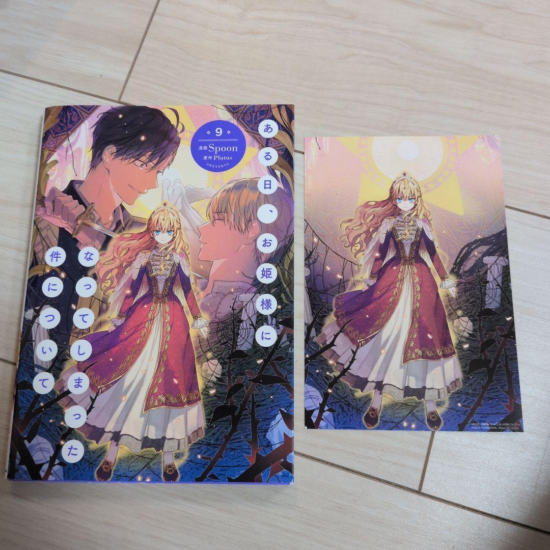 ある日、お姫様になってしまった件について 13