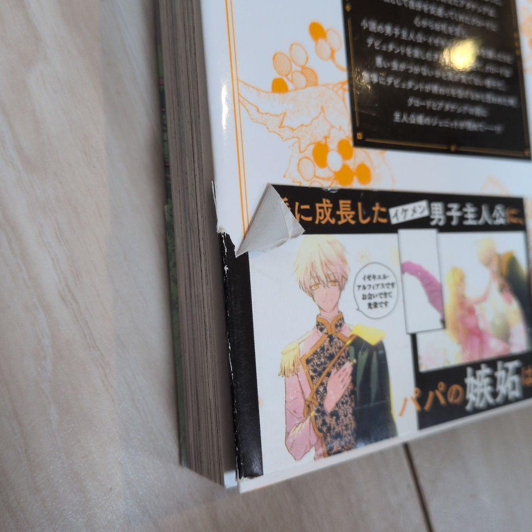 ある日、お姫様になってしまった件について 13