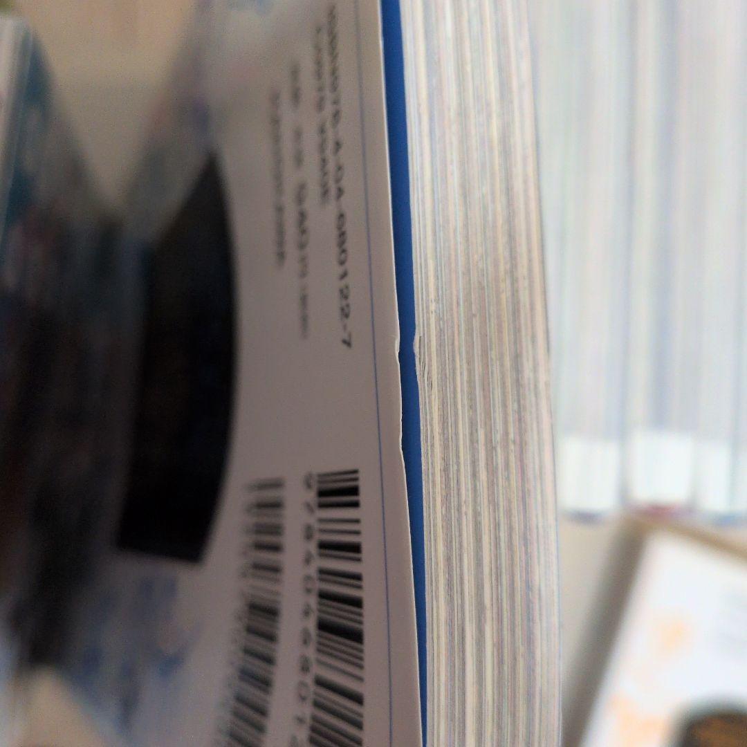 ある日、お姫様になってしまった件について 13