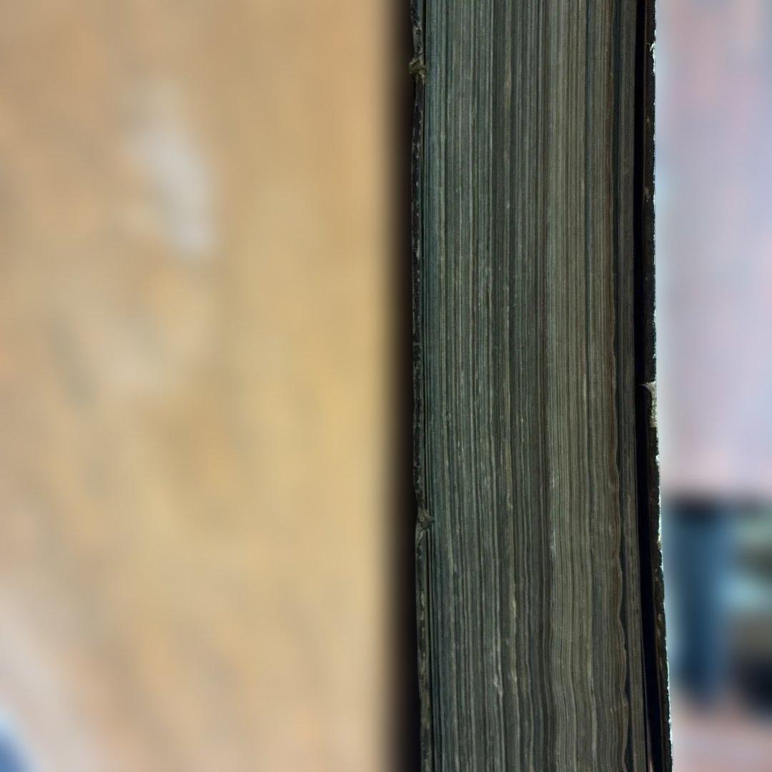 The International Graphic国際写真情報