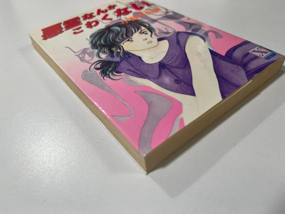 ★悪霊なんかこわくない 小野不由美 京都私設情報局 悪霊