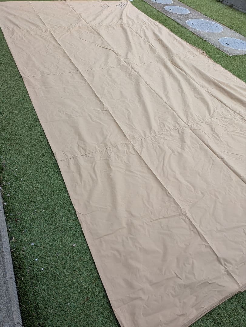 DOD ディーオーディー チーズタープ(М)