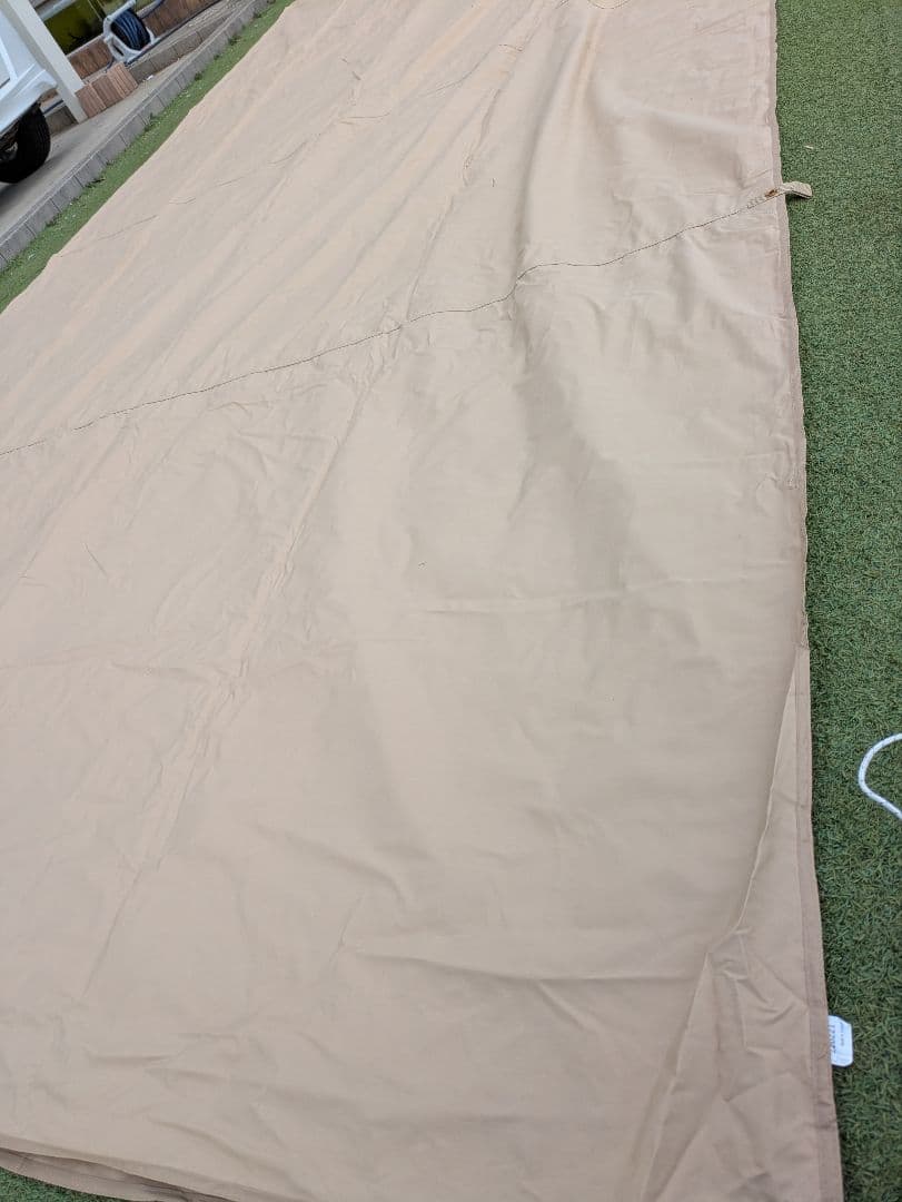 DOD ディーオーディー チーズタープ(М)