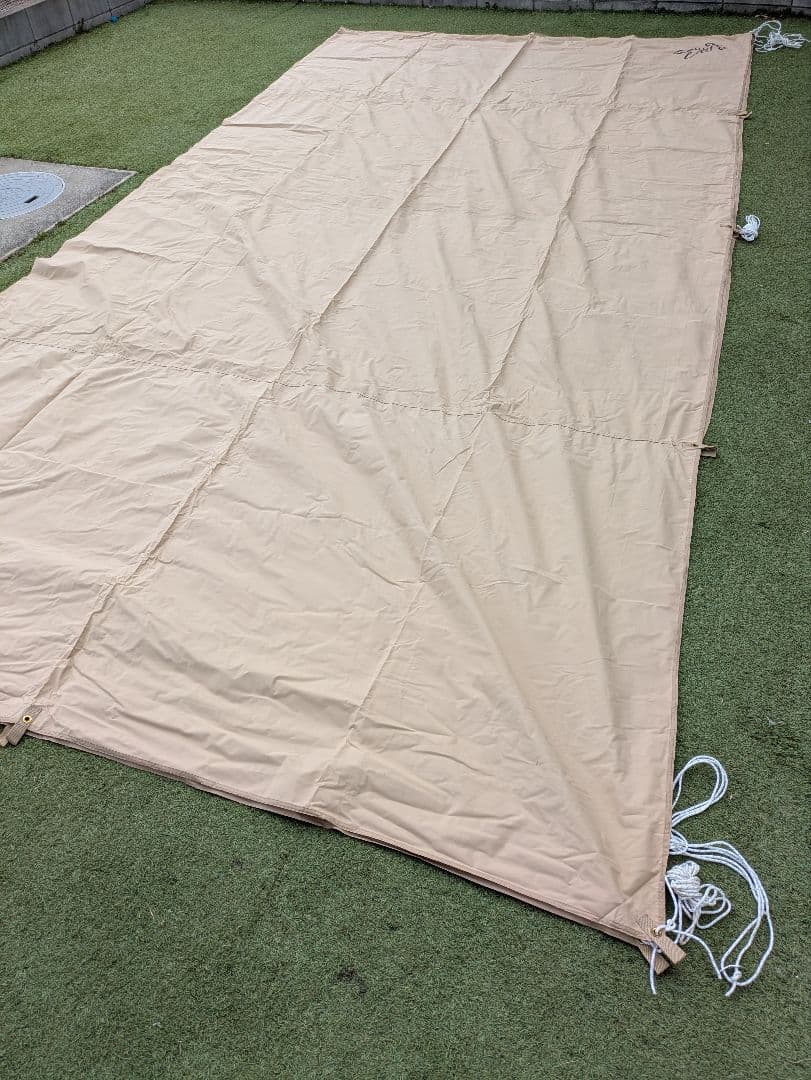 DOD ディーオーディー チーズタープ(М)