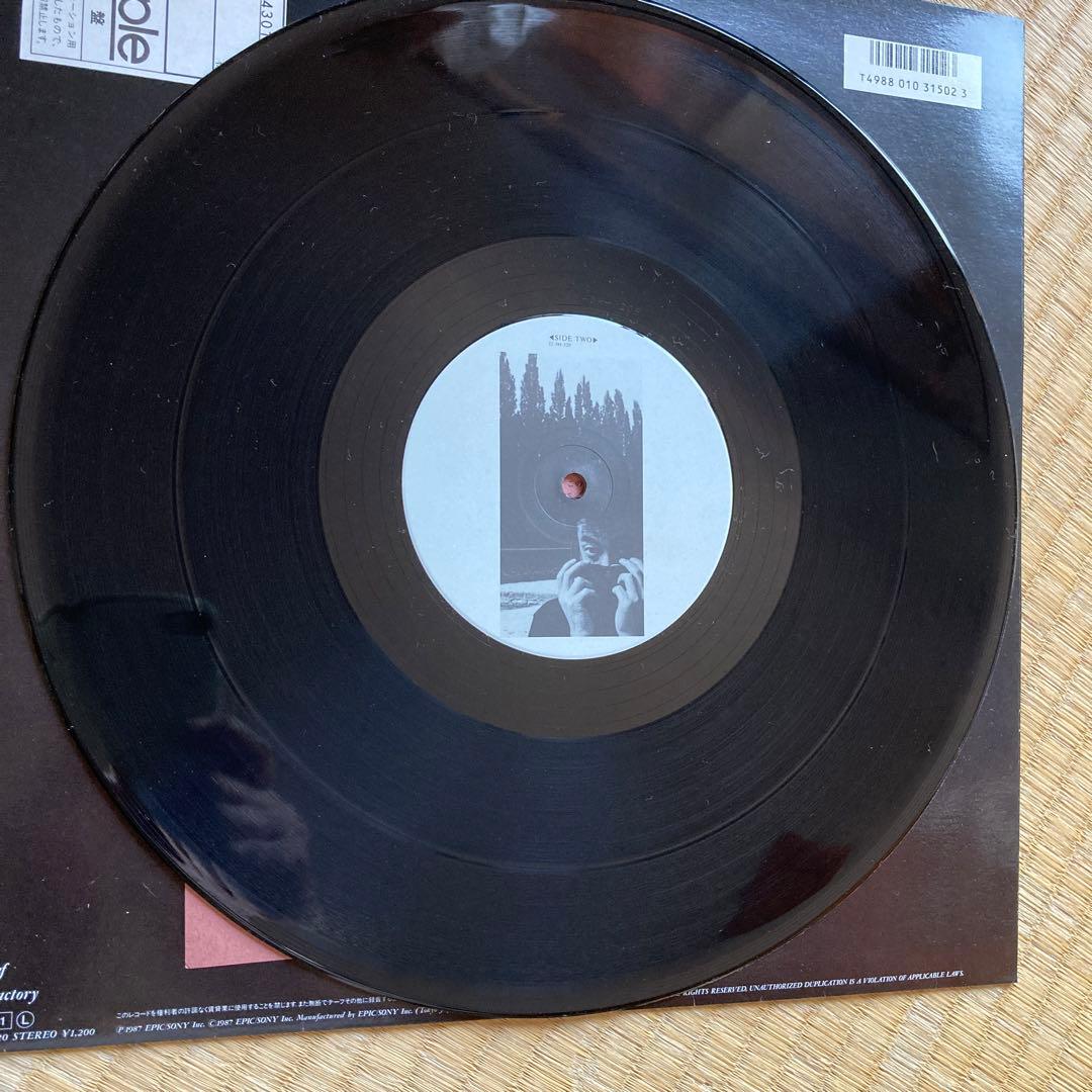 インディビジュアリスト　佐野元春　レコード　見本盤