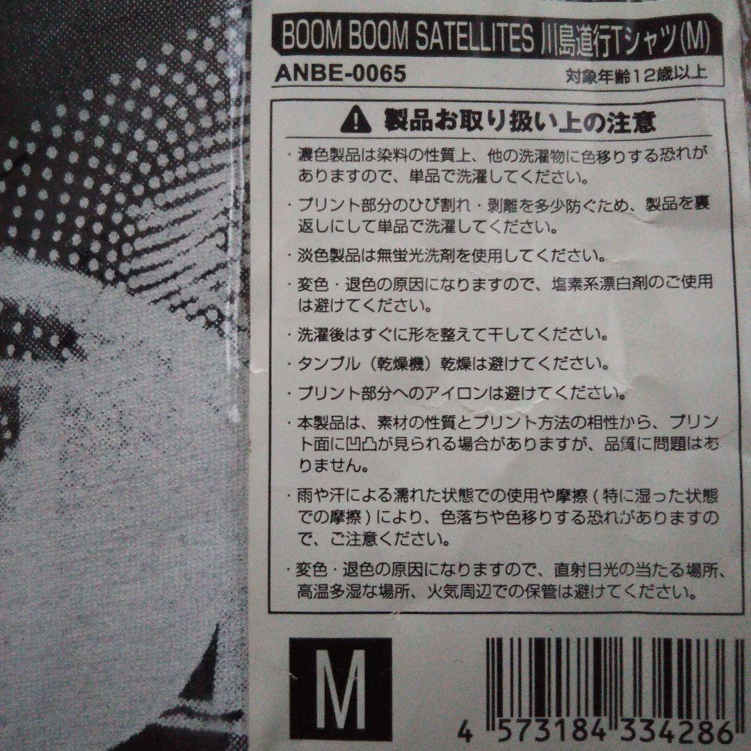 W*e様 BOOM BOOM SATELLITESセット出品 おまけつき