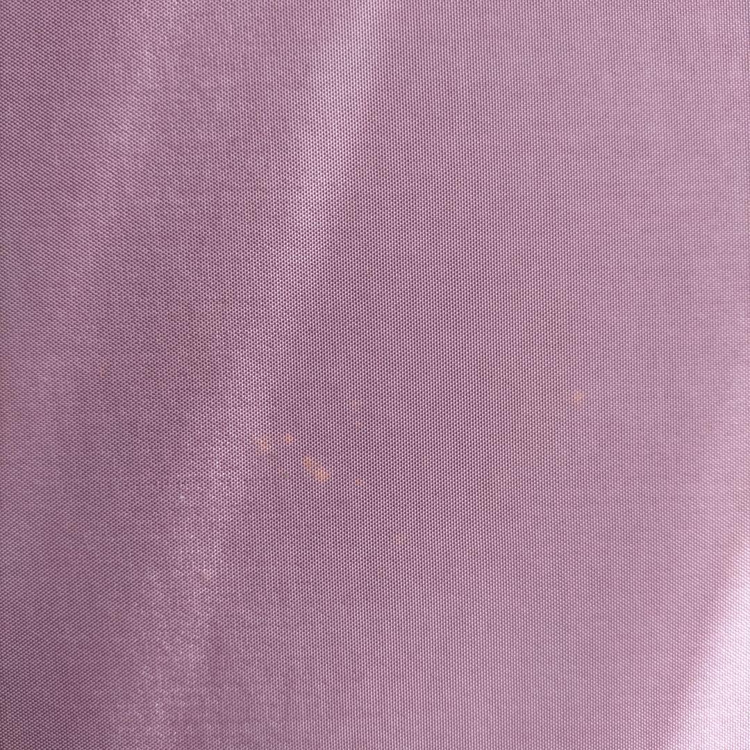 高橋光輝画集　花鳥燦歌　パンフレット付き　ケース付き　日本画　限定版