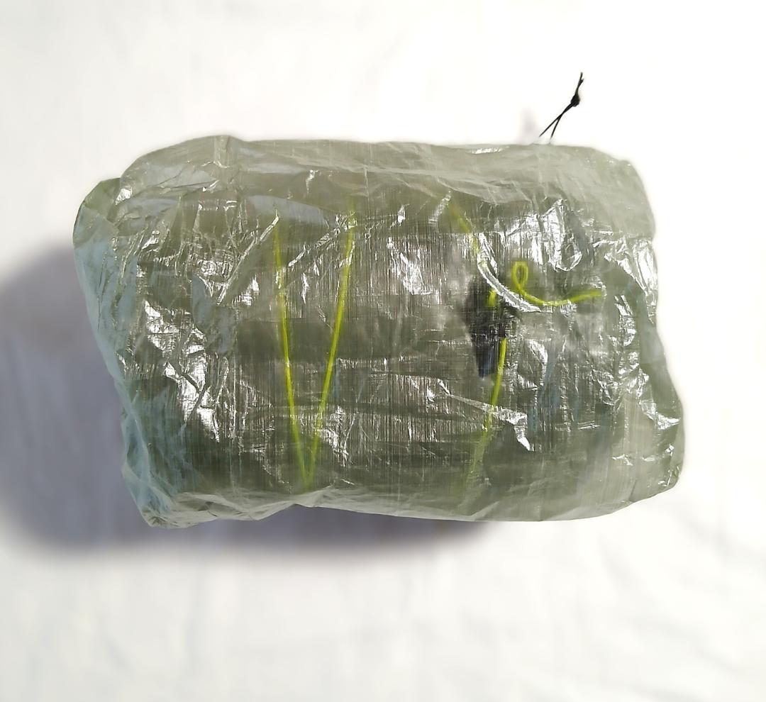 Zpacks Plex Solo Tent Olive Drab 新品