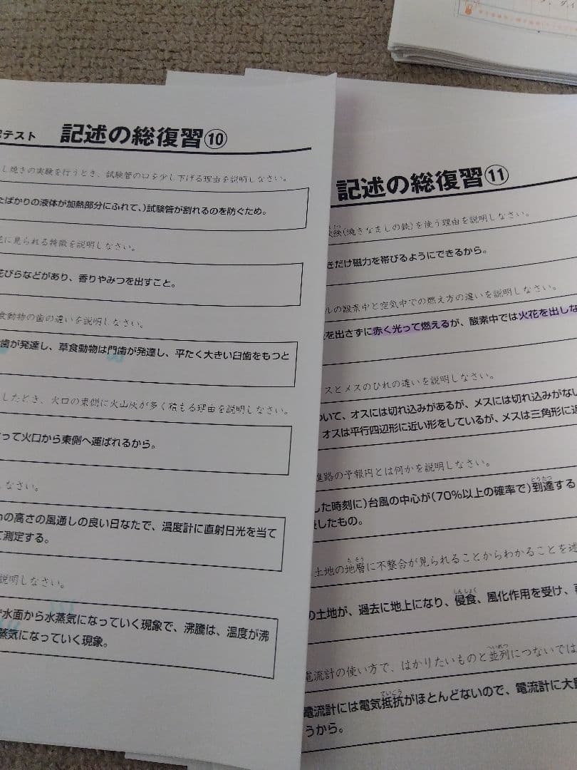 2024 SAPIX 理科 サピックス ウィークリーサピックス・記述の総復習