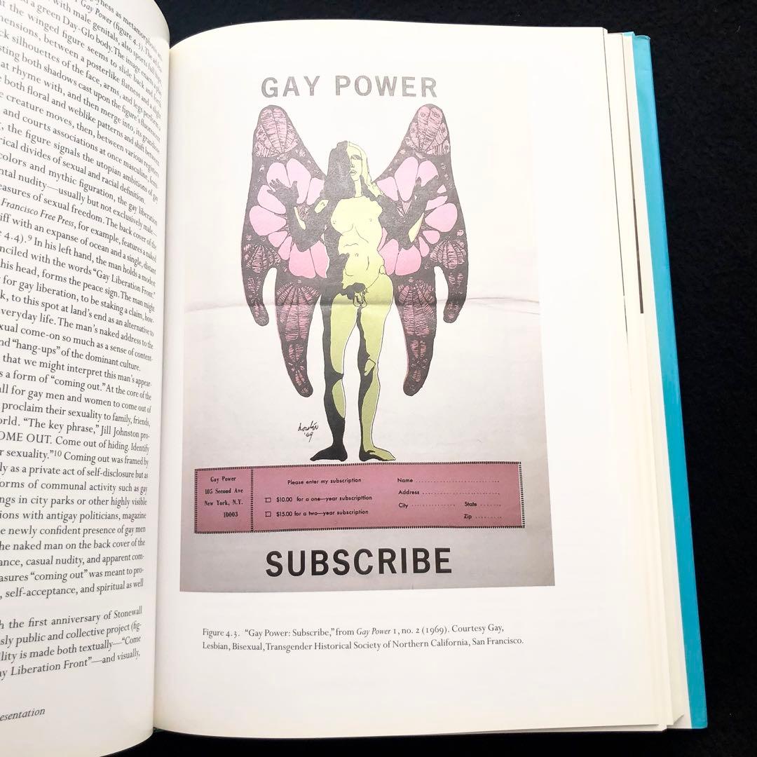 アウトローの表象 20世紀アメリカ美術における検閲と同性愛