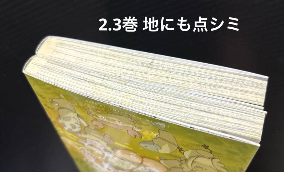 不滅のあなたへ 1-21巻