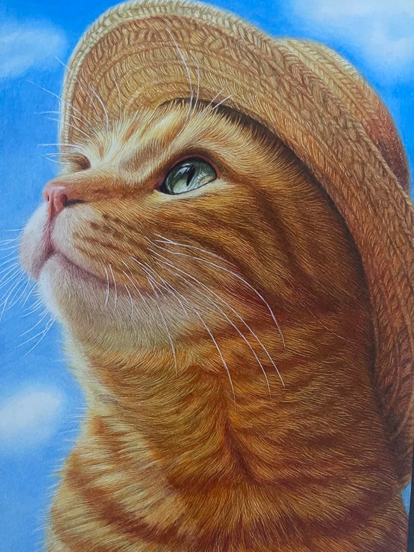 色鉛筆画A4 茶トラ.38