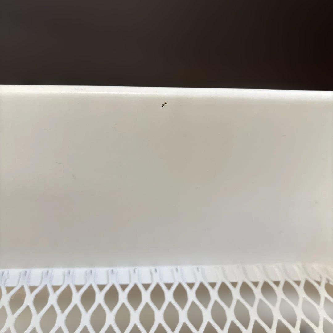 ロースコグ　小　ホワイト　新旧2台セット