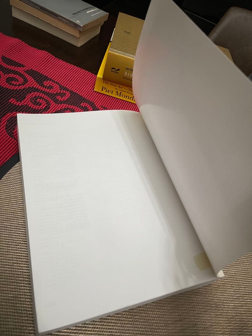 洋書 Visions from the Past M.J. Morwood