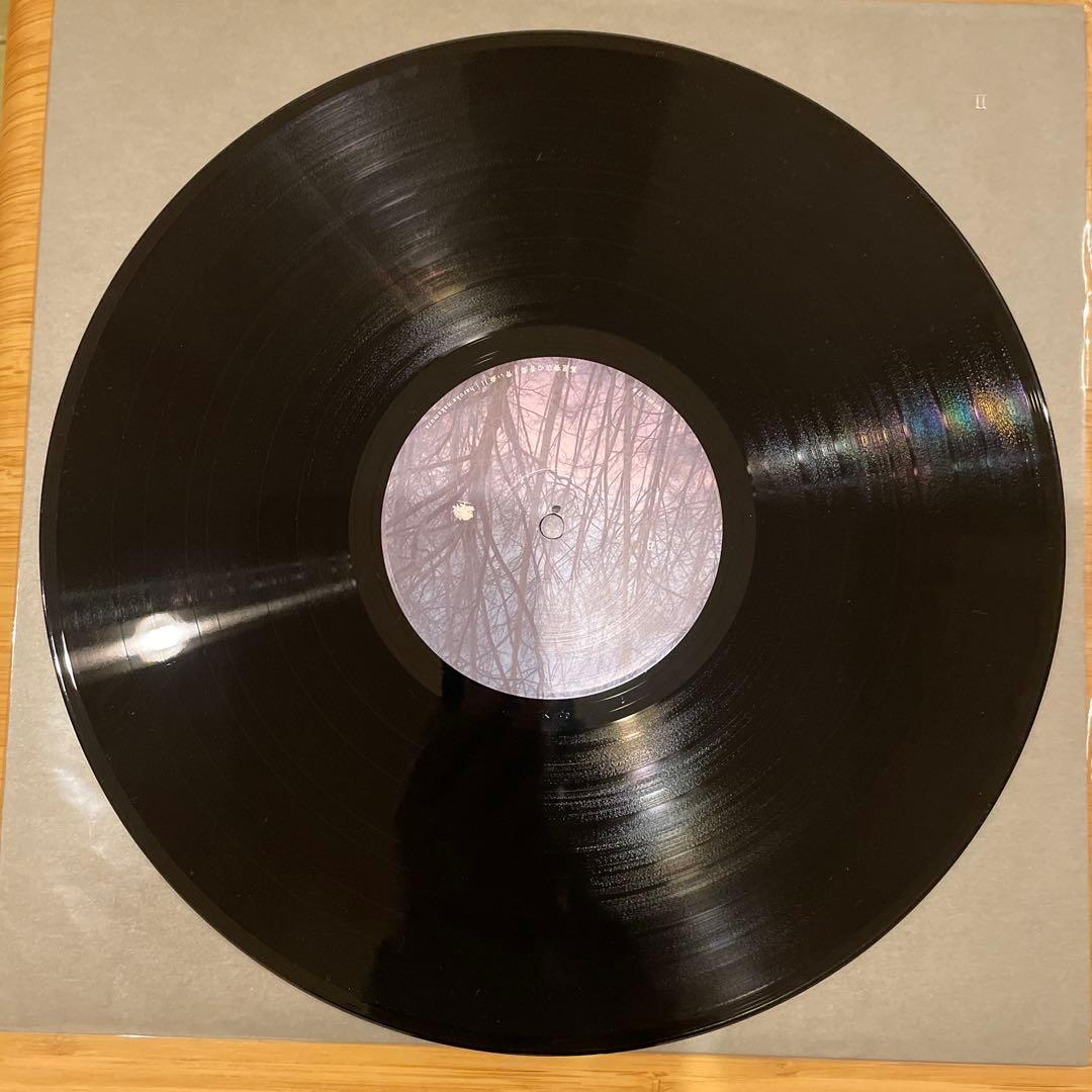 【極美品】haruka nakamura 青い森Ⅰ &Ⅱ レコード