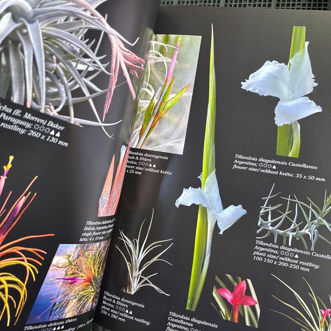 World of Tillandsia Jan Maruska著