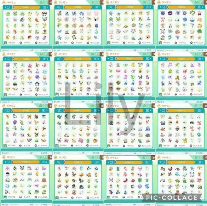 ケース付き　ポケットモンスター ウルトラサン