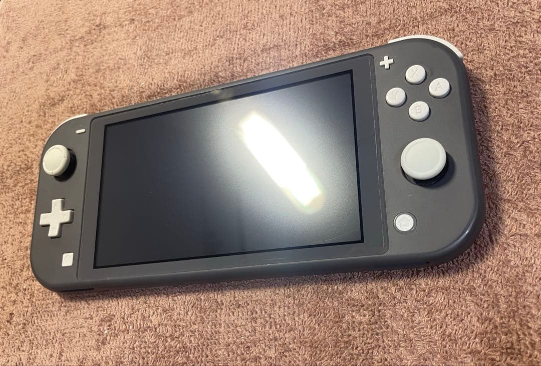 Nintendo Switch Lite グレー 本体 ケース&カバー付き