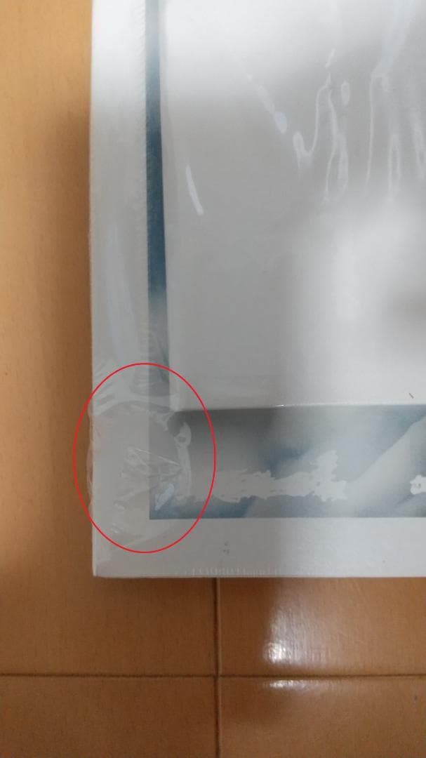 陳綺貞 CD 時間的歌 (限量精裝珍藏版) 　ミニブック付