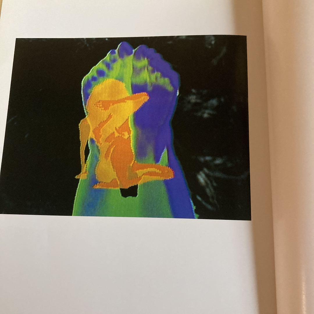 魔術師　リサライオン　横尾忠則　パルコ出版