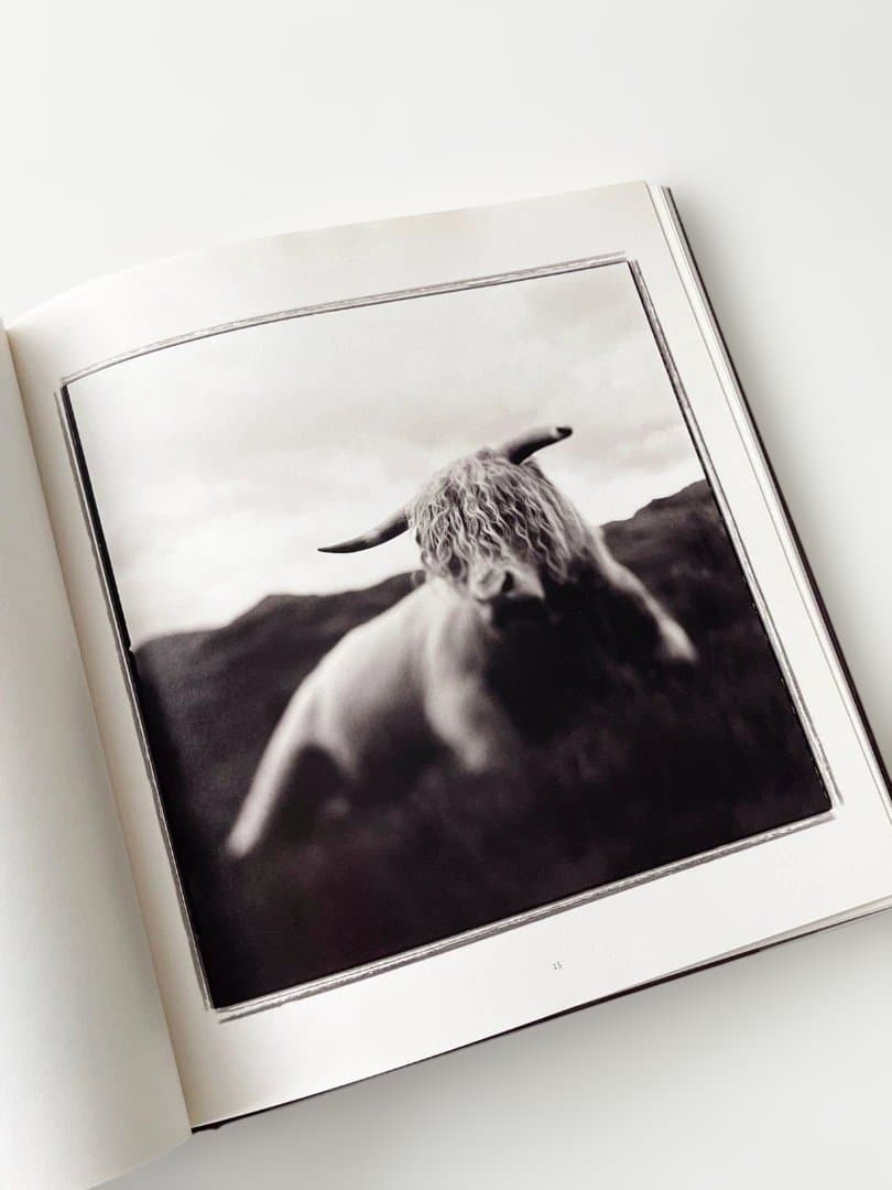 Holding Venus Keith Carter 写真集