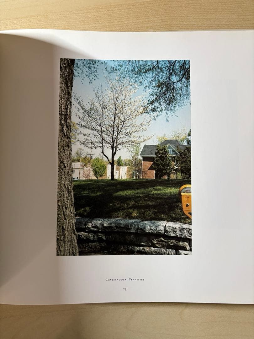 アート・デザイン・音楽 William Eggleston The Democratic Forest