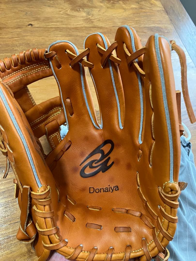 ドナイヤ　DJNIM 軟式用グローブ 収納袋付き