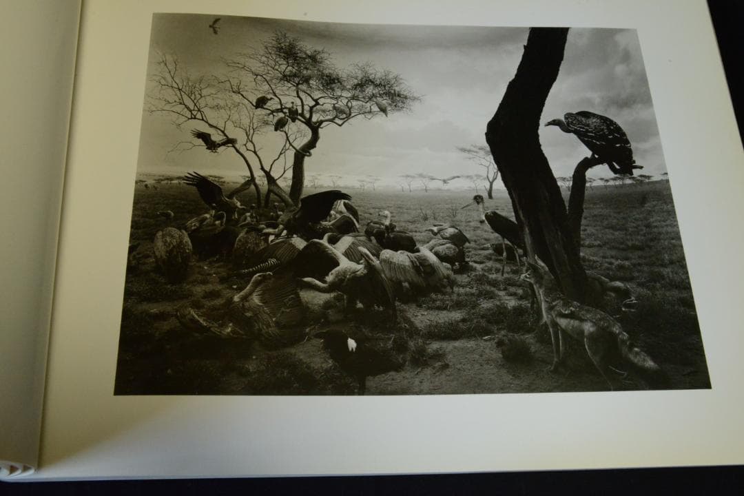 【SUGIMOTO】杉本博司写真集　★★大幅に再値下げしました