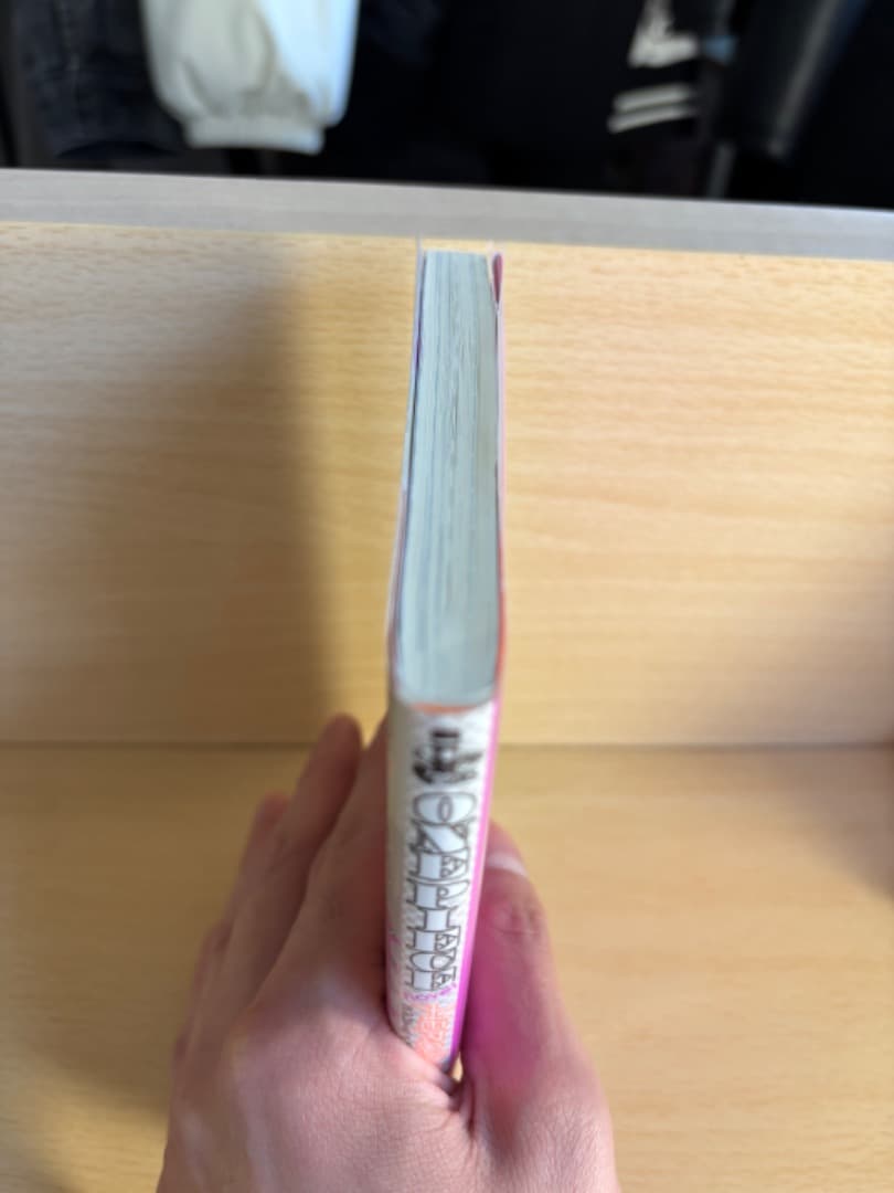 【初版帯付美品】ONEPIECE ワンピース ノベルヒロインズ heroines