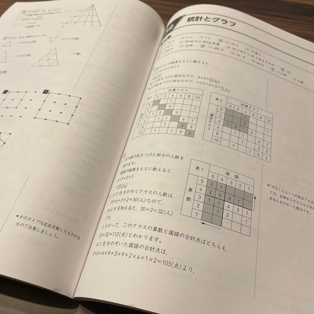 書き込みなし★算数 小6 バックアップテキスト 早稲田アカデミー 解答解説集付き