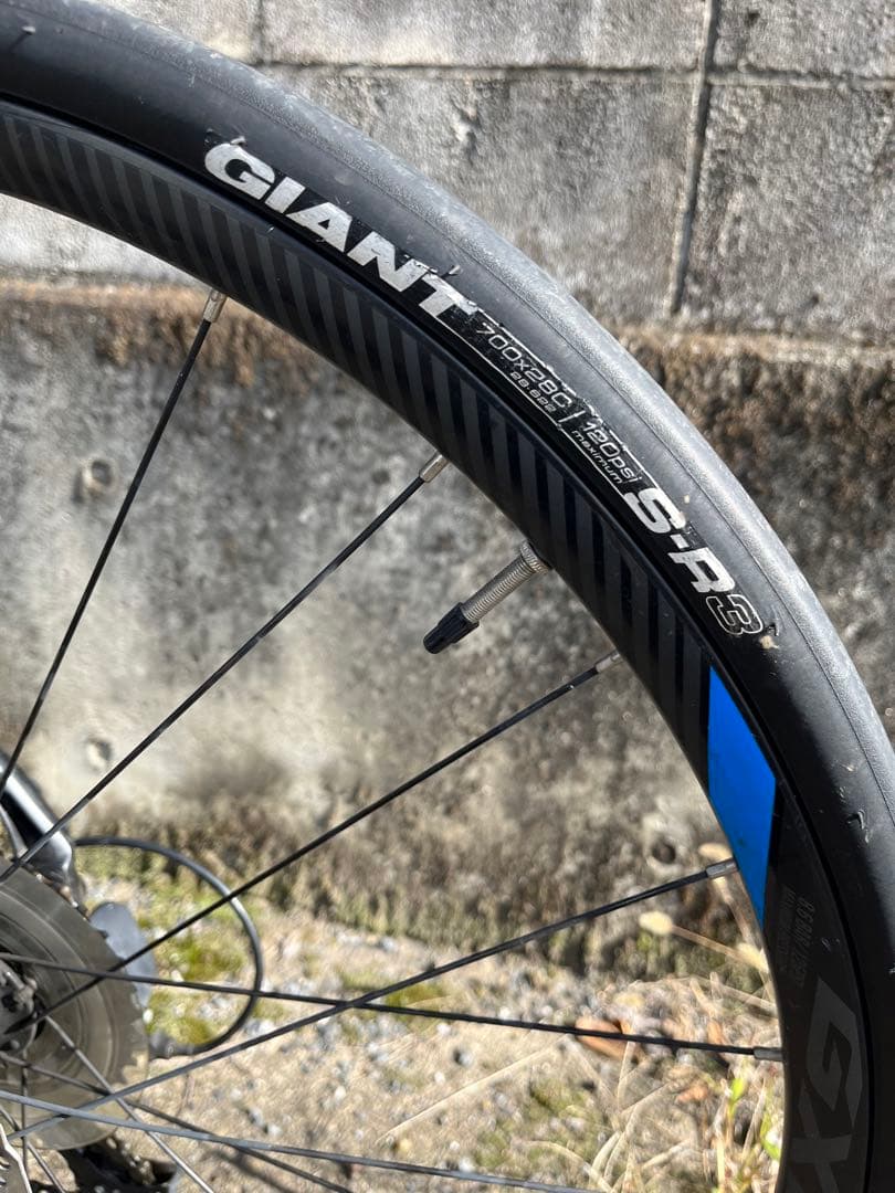 GIANT ジャイアント　ESCAPE RX ディスクブレーキ　エスケープ