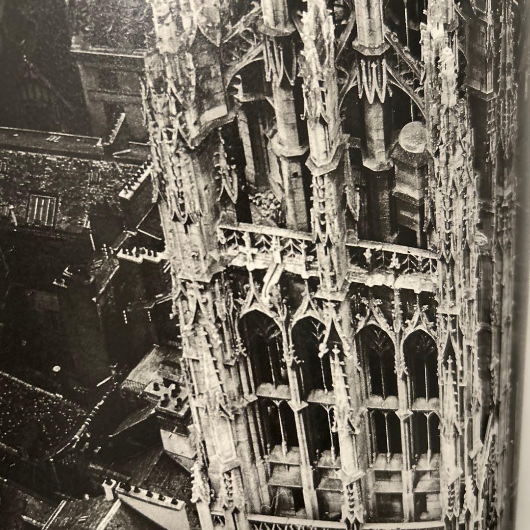 アート・デザイン・音楽 Blumenfeld: A Fetish for Beauty