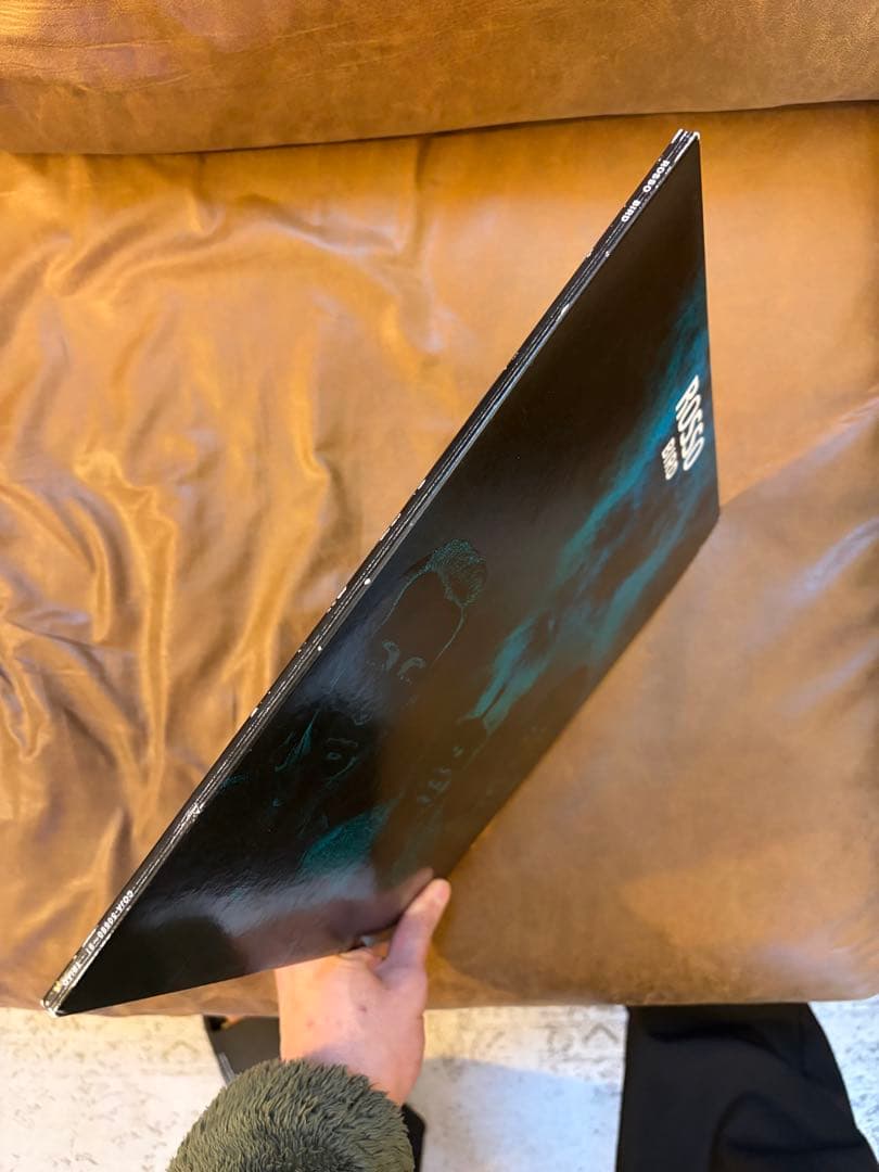 【希少LP】ROSSO / BIRD アナログ盤 2枚組 レコード（チバユウスケ