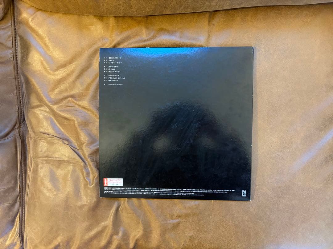 【希少LP】ROSSO / BIRD アナログ盤 2枚組 レコード（チバユウスケ