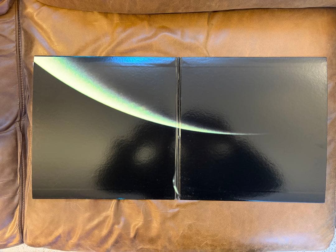 【希少LP】ROSSO / BIRD アナログ盤 2枚組 レコード（チバユウスケ